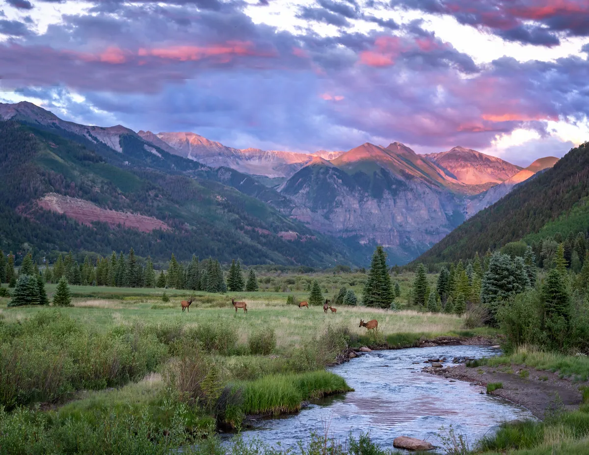 A sweeping view of lush green meadows with a sparkling stream winding through, framed by majestic mountains in the background. Deer graze near the water’s edge, surrounded by wildflowers and dense vegetation. The setting sun casts a warm glow across the landscape.